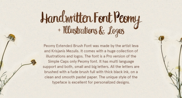 Peomy brush font freebie, extended typeface, logos, illustrations
