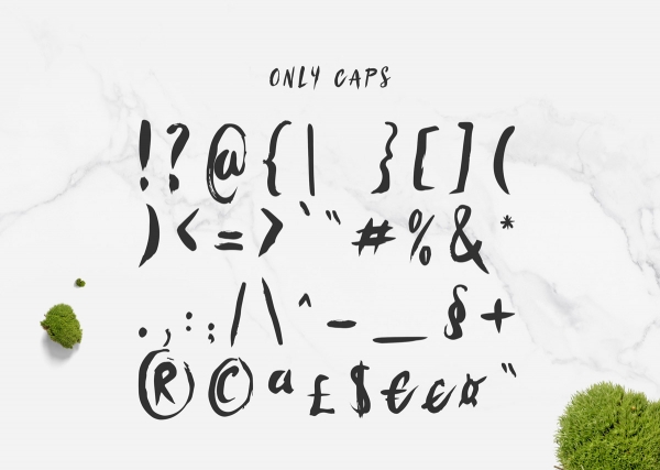 Sanos Sanös brush handwritten script typeface font sans serif krisjanis mezulis wildones wildtype grain noise best font
