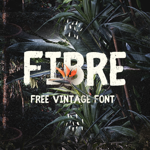 Fibre vintage font - krisjanis mezulis wildtype.design wiltones
