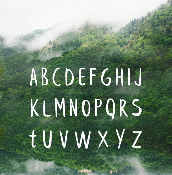 Leafy EXTENDED brush font brush handwritten font - Krisjanis Mezulis wildtype.design
